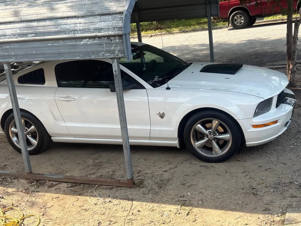 2009 Ford S197 Mustang - Image 4 of 4