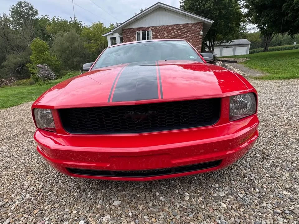 2009 Ford S197 Mustang - Image 2 of 15