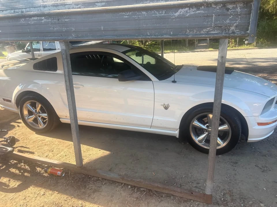2009 Ford S197 Mustang - Image 3 of 4