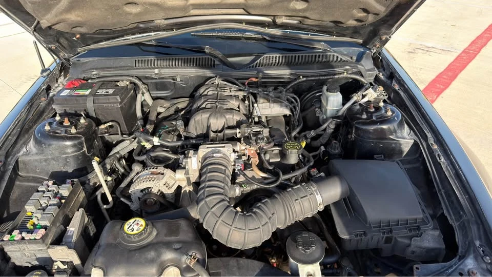 2009 Ford S197 Mustang - Image 11 of 12