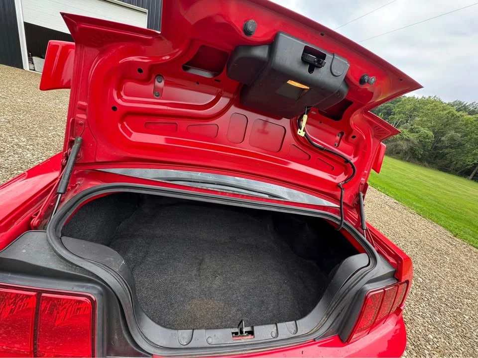 2009 Ford S197 Mustang - Image 11 of 15