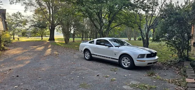 2009 Ford Mustang Coupe 2D