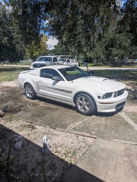 2009 Ford S197 Mustang - Image 13 of 13