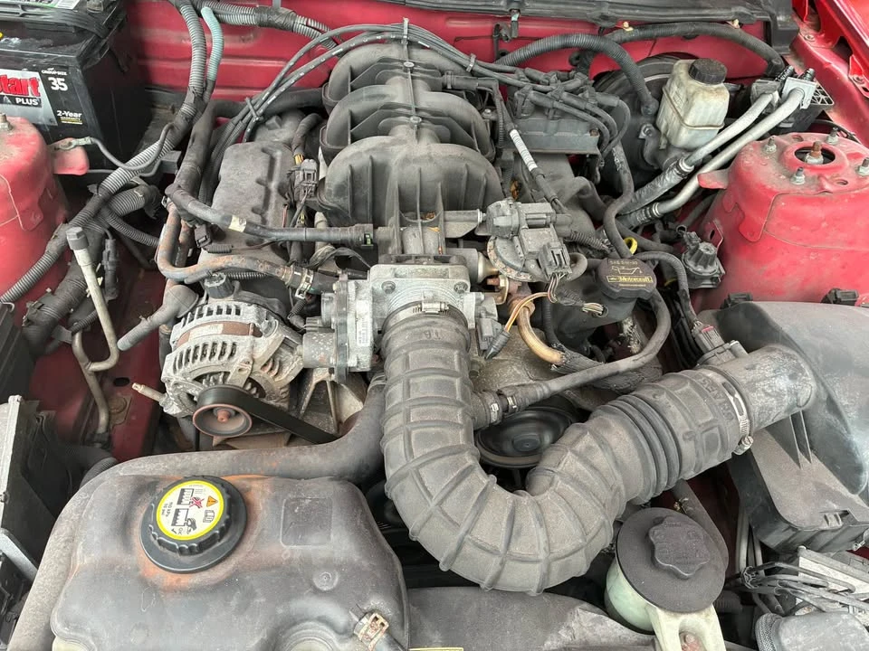 2009 Ford S197 Mustang - Image 13 of 13