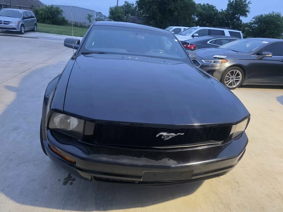 2009 Ford S197 Mustang - Image 4 of 19