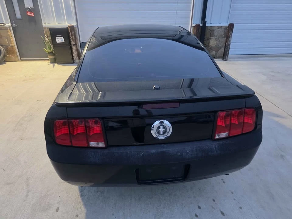2009 Ford S197 Mustang - Image 8 of 19