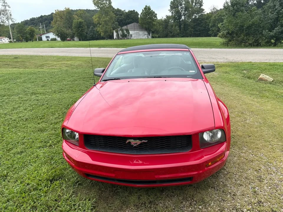 2009 Ford S197 Mustang - Image 4 of 13