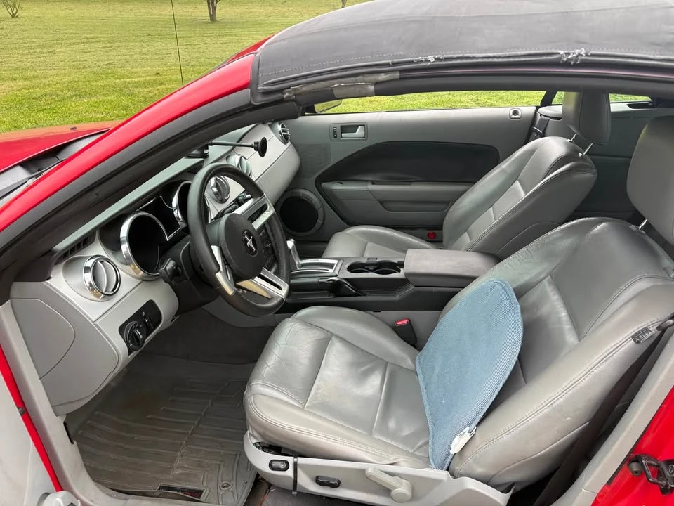 2009 Ford S197 Mustang - Image 13 of 13