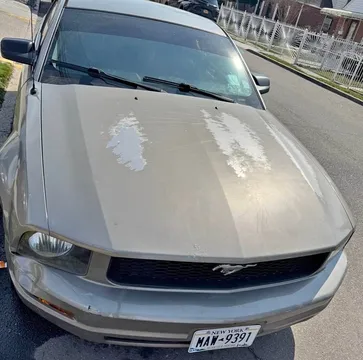 2009 Ford Mustang Deluxe Coupe