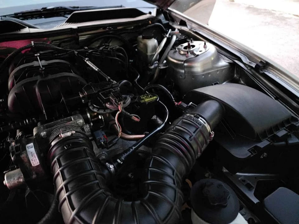 2009 Ford S197 Mustang - Image 17 of 17