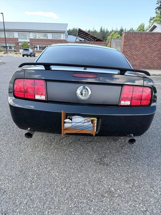 2009 Ford S197 Mustang - Image 15 of 16