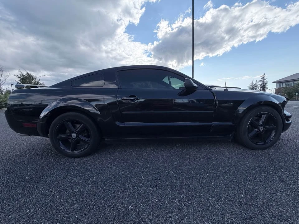 2009 Ford S197 Mustang - Image 8 of 16