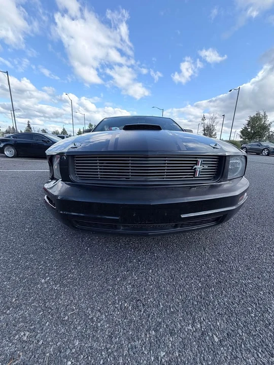 2009 Ford S197 Mustang - Image 10 of 16