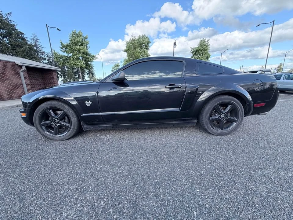 2009 Ford S197 Mustang - Image 12 of 16