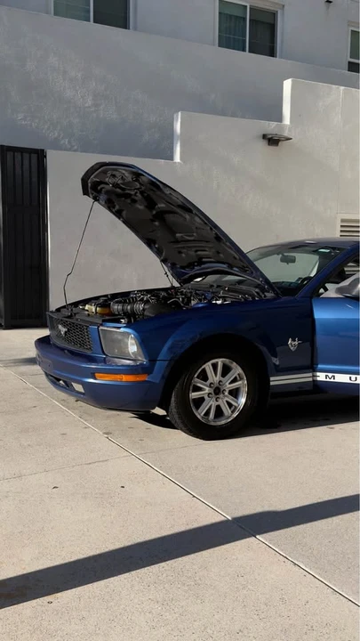 2009 Ford S197 Mustang - Image 18 of 18