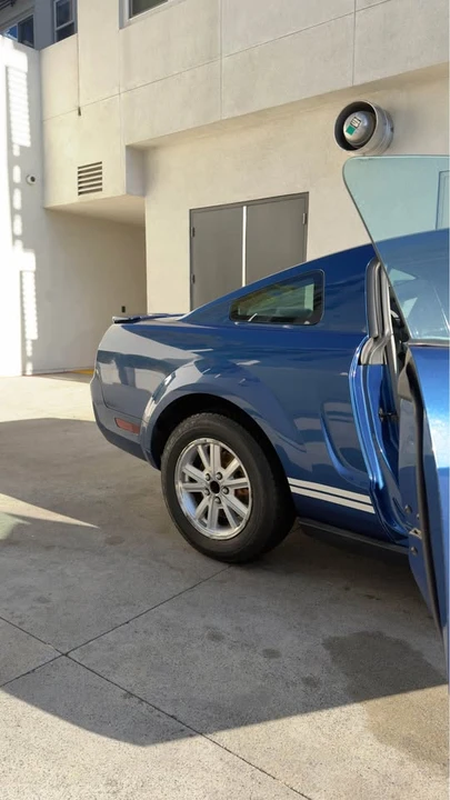 2009 Ford S197 Mustang - Image 15 of 18
