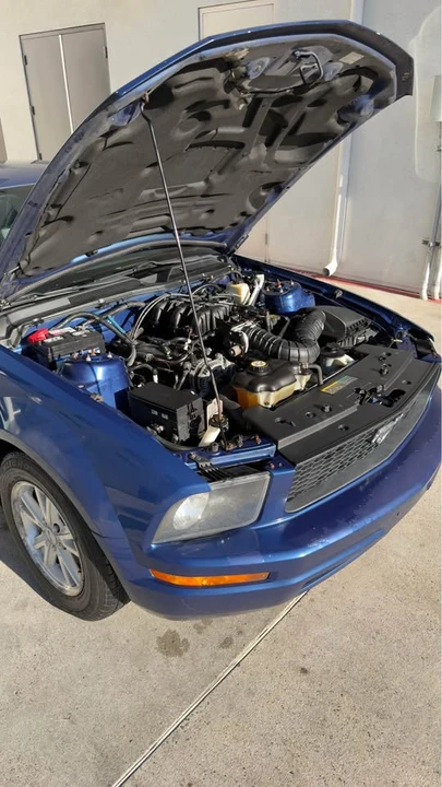 2009 Ford S197 Mustang - Image 16 of 18