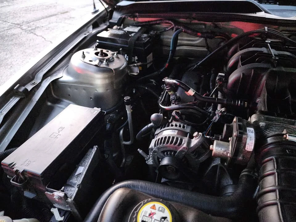 2009 Ford S197 Mustang - Image 15 of 17