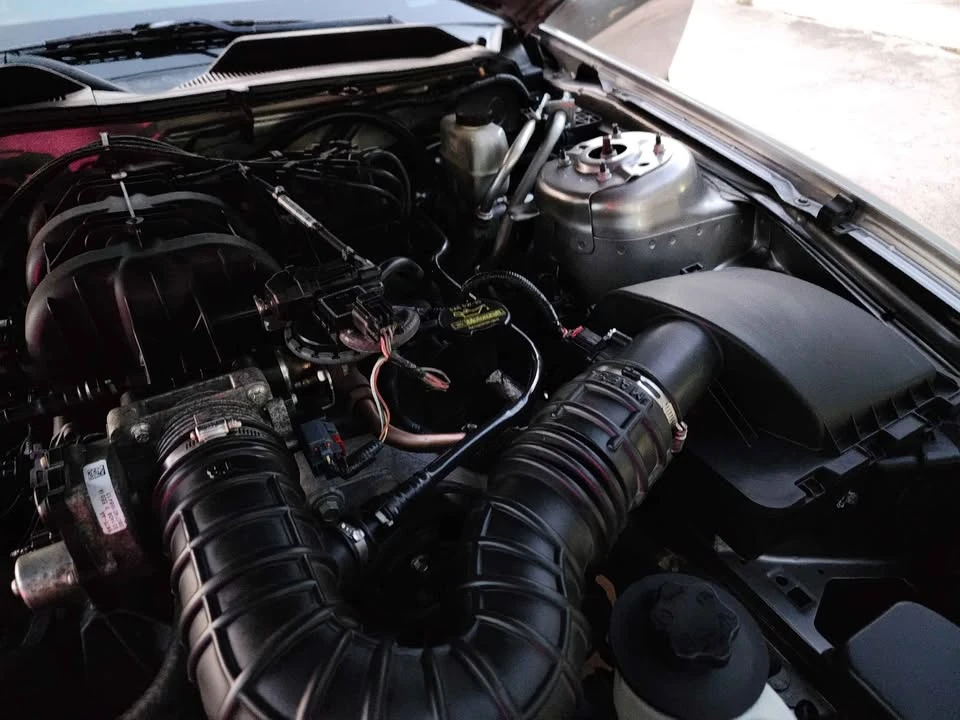 2009 Ford S197 Mustang - Image 16 of 17
