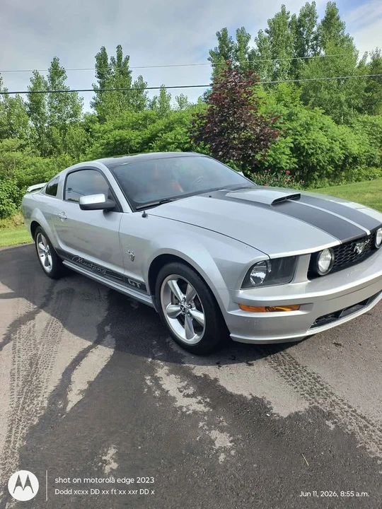 2009 Ford S197 Mustang GT - Image 5 of 18