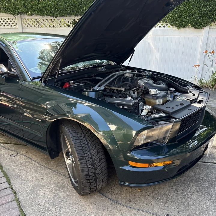 2009 Ford S197 Mustang GT - Image 29 of 29