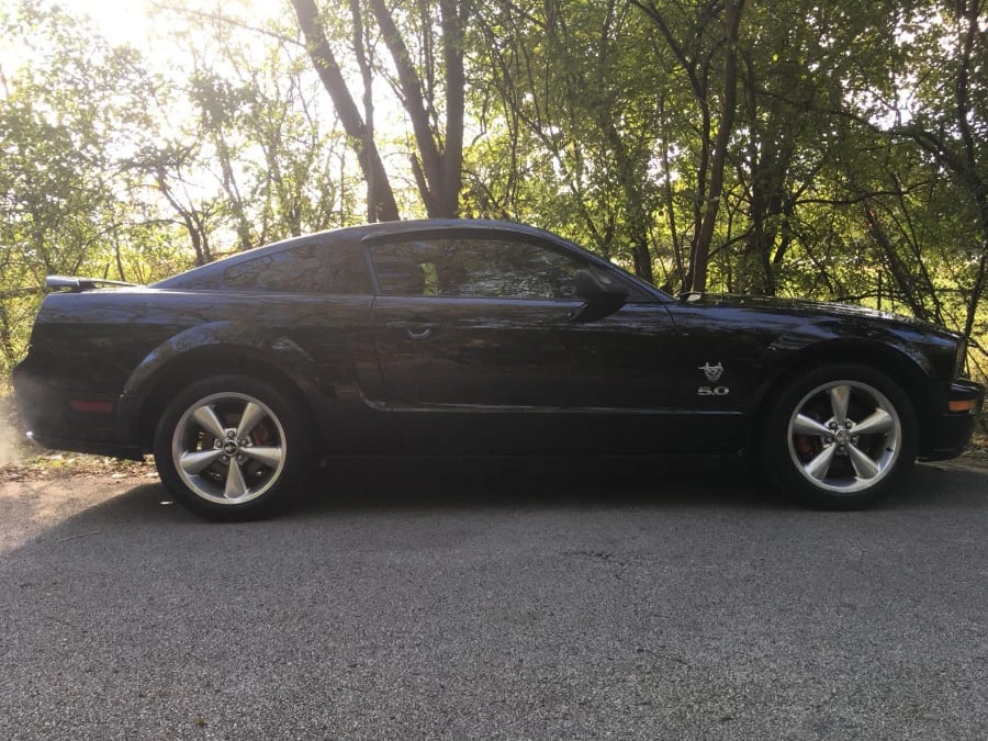 2009 Ford S197 Mustang - Image 8 of 8