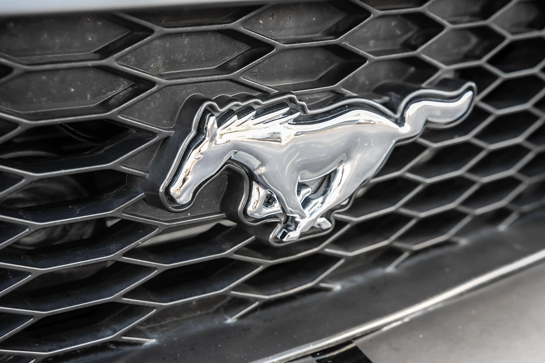 2009 Ford S197 Mustang - Image 28 of 31
