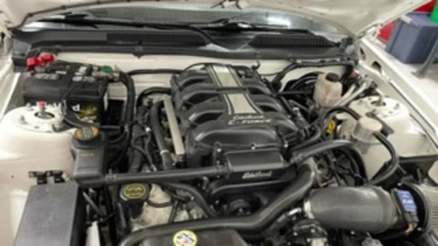 2009 Ford S197 Mustang - Image 9 of 10