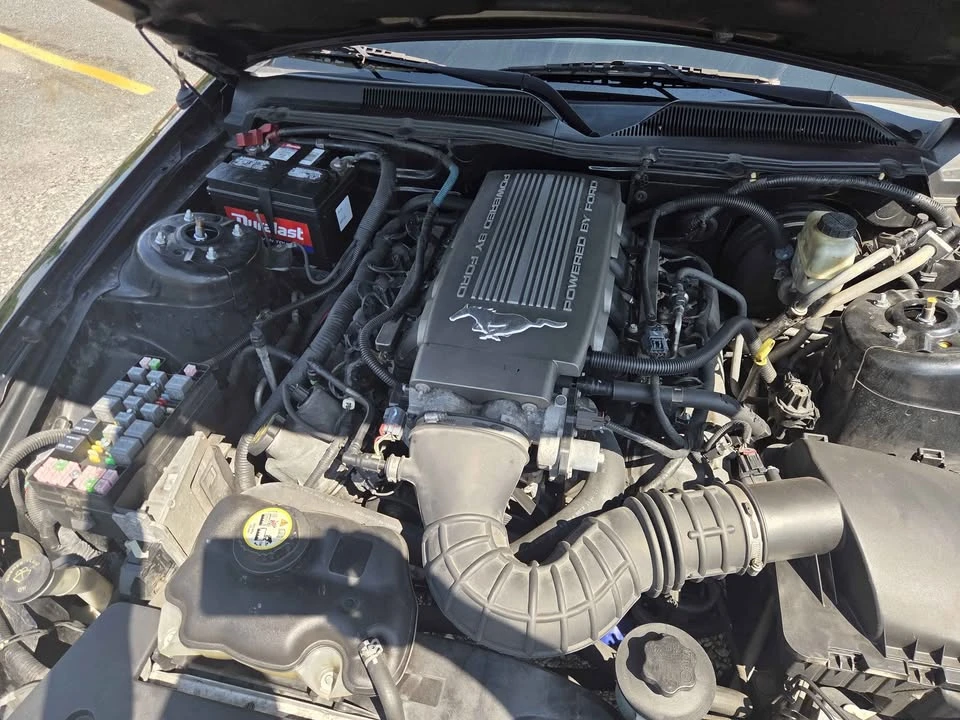 2009 Ford S197 Mustang GT - Image 18 of 18