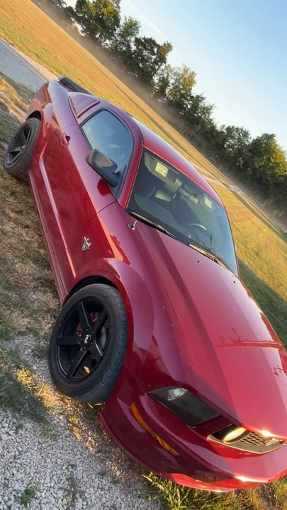 2009 Ford S197 Mustang GT - Image 4 of 10
