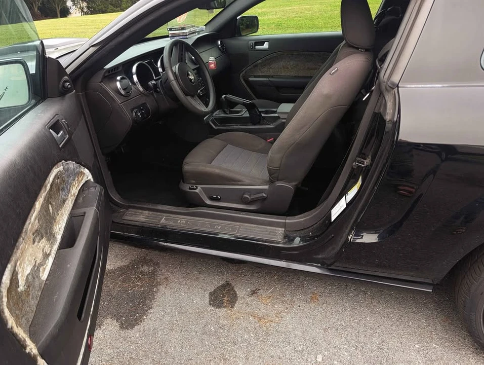 2009 Ford S197 Mustang GT - Image 10 of 19