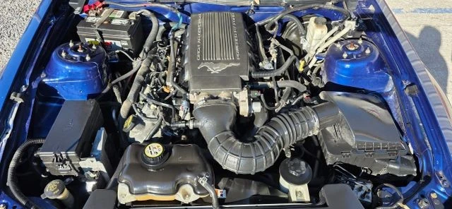 2009 Ford S197 Mustang - Image 9 of 17