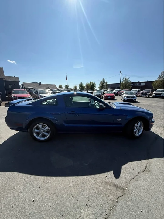 2009 Ford S197 Mustang GT - Image 4 of 15