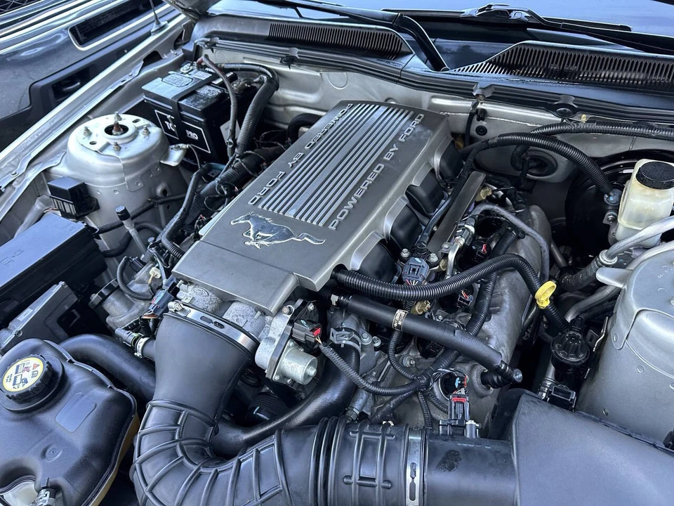 2009 Ford S197 Mustang - Image 16 of 16
