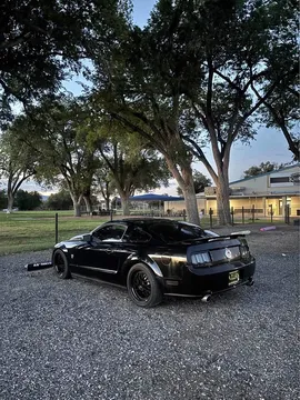 2009 Ford Mustang GT Premium Coupe 2D