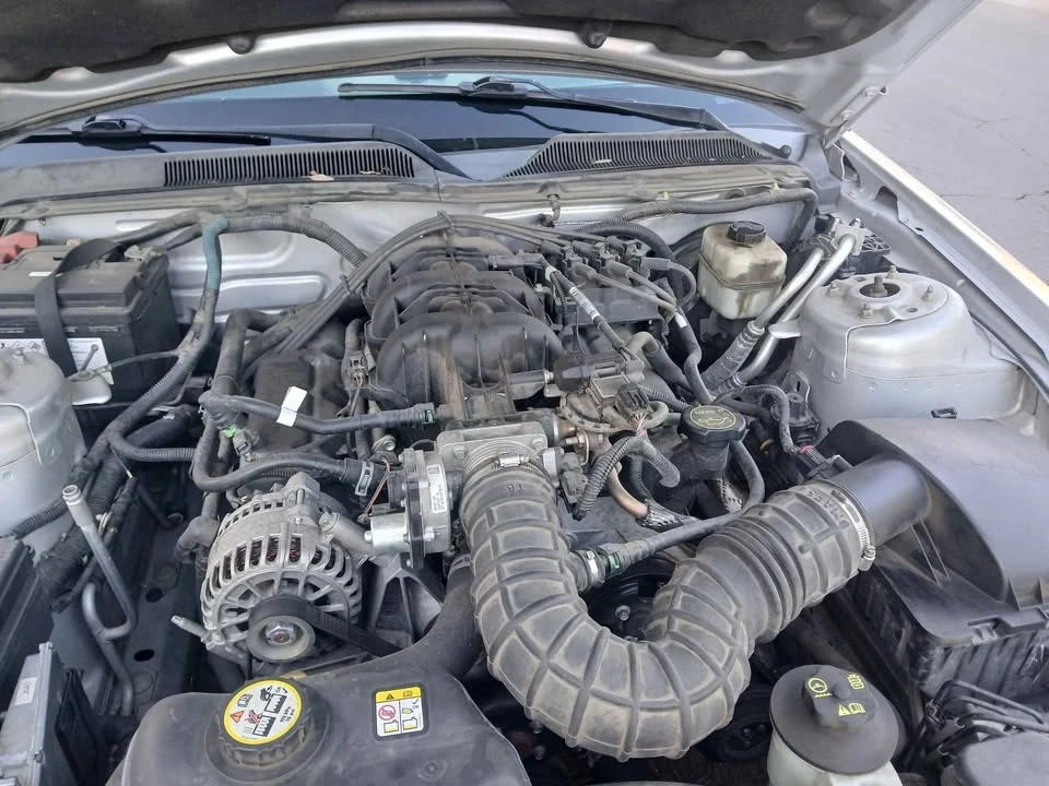 2009 Ford Mustang Mach-E - Image 6 of 12