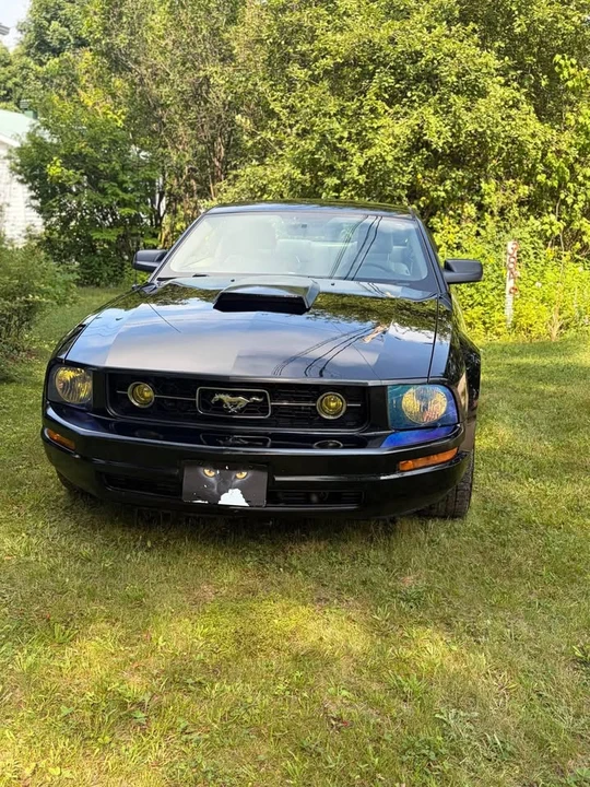 2009 Ford S197 Mustang - Image 4 of 7