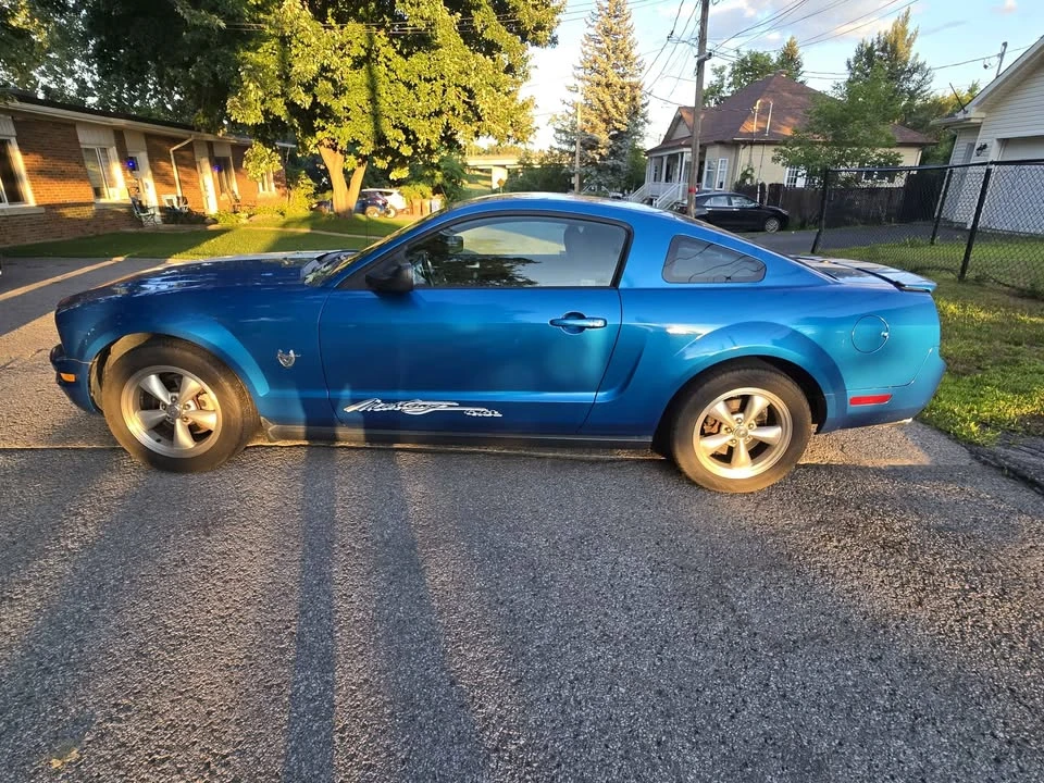 2009 Ford S197 Mustang - Image 11 of 11
