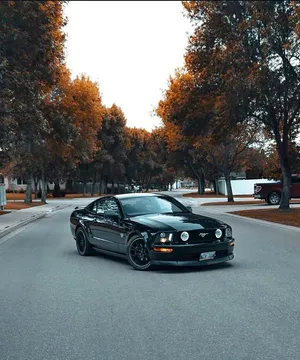 2009 Ford Mustang GT