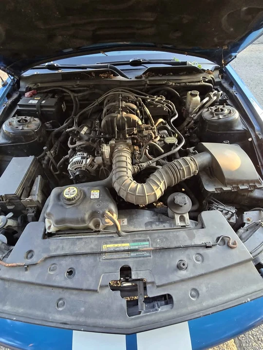2009 Ford S197 Mustang - Image 2 of 11