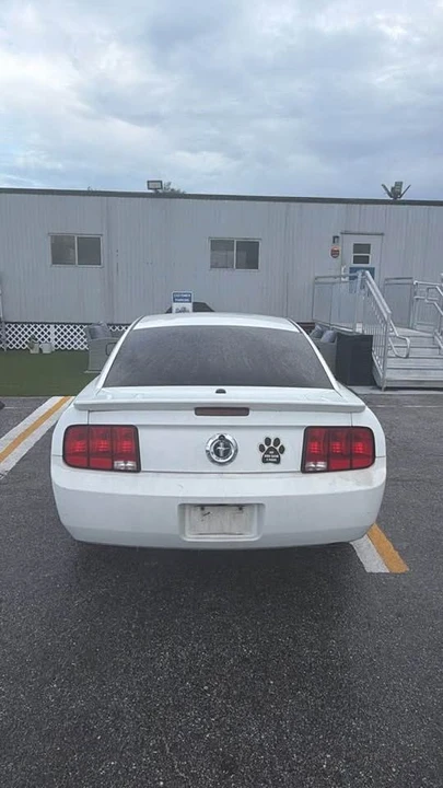 2009 Ford S197 Mustang - Image 2 of 5