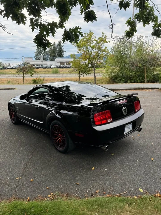 2009 Ford S197 Mustang - Image 8 of 18