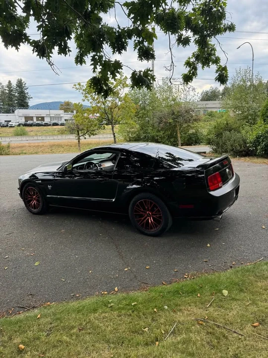 2009 Ford S197 Mustang - Image 9 of 18