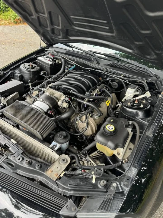 2009 Ford S197 Mustang - Image 15 of 18