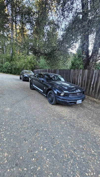 2009 Ford S197 Mustang - Image 3 of 6