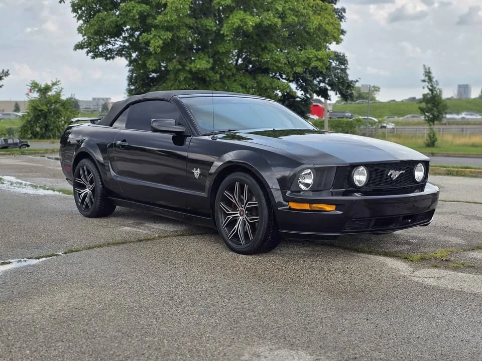 2009 Ford S197 Mustang - Image 11 of 17