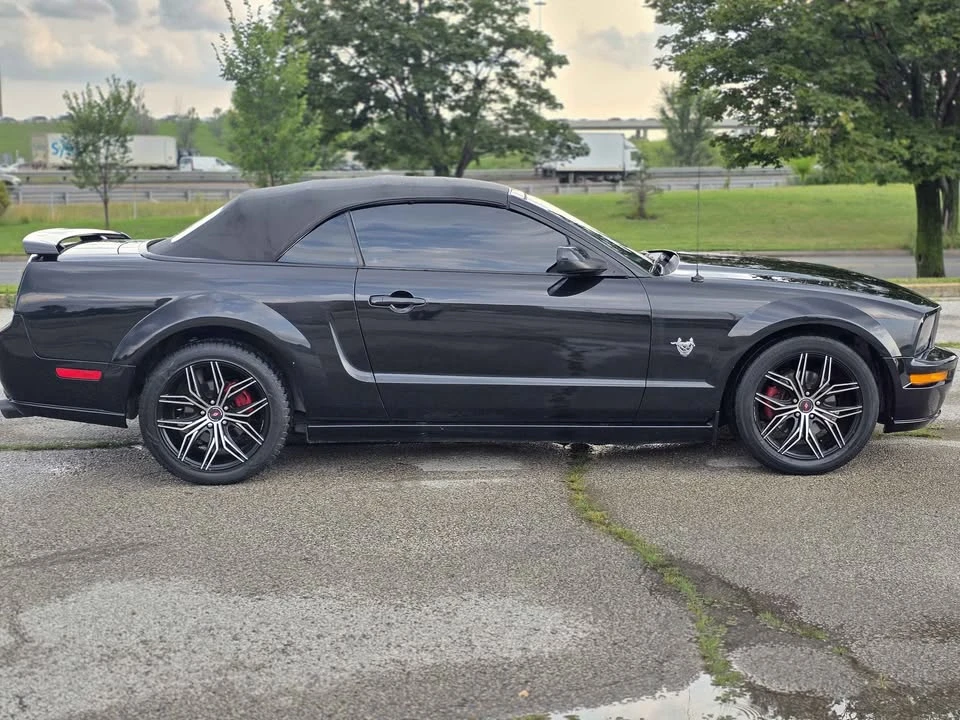 2009 Ford S197 Mustang - Image 8 of 17