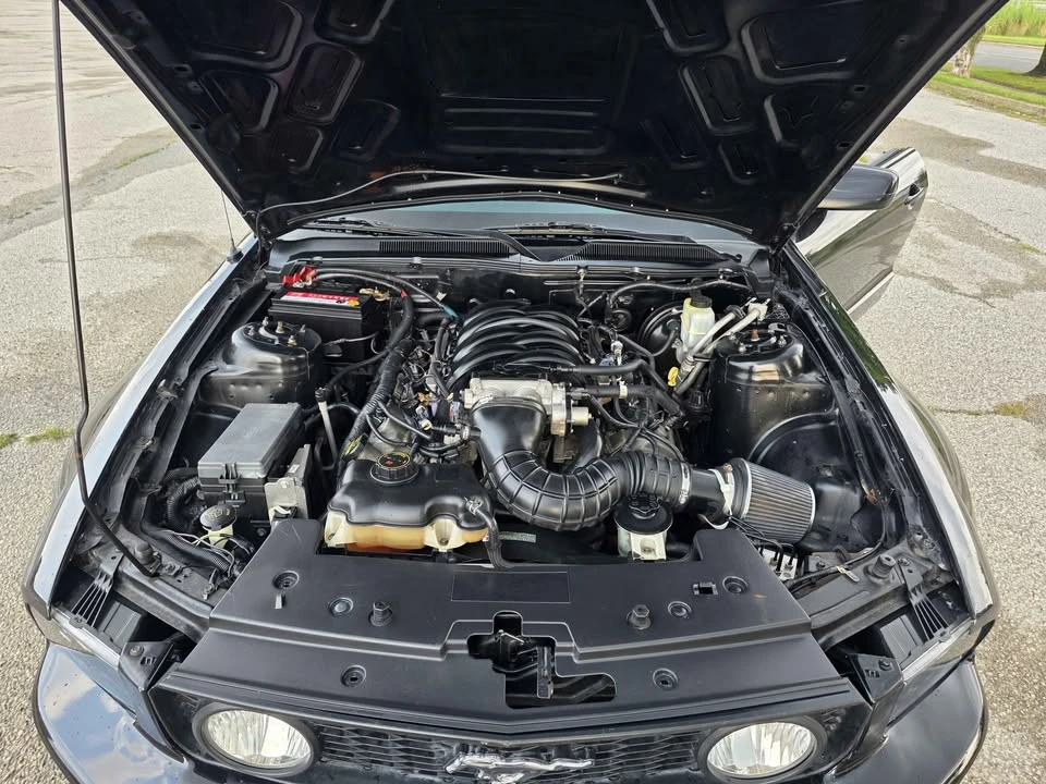2009 Ford S197 Mustang - Image 14 of 17