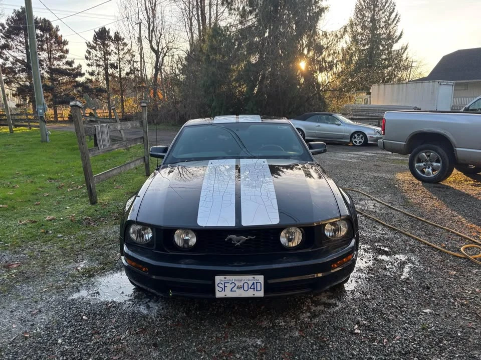 2009 Ford S197 Mustang - Image 2 of 9