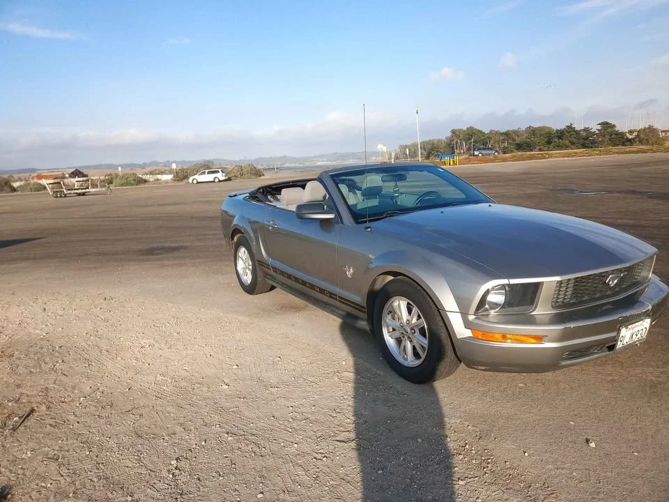 2009 Ford S197 Mustang - Image 9 of 14